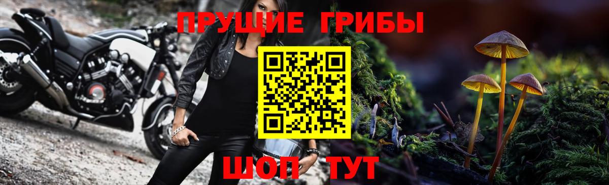 Галлюциногенные грибы Psilocybine cubensis Советский